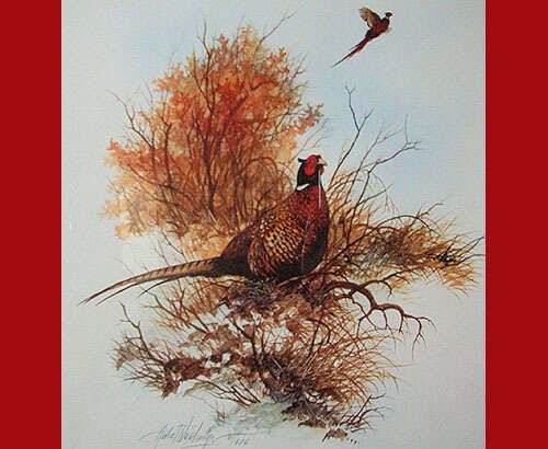 Painting pheasant