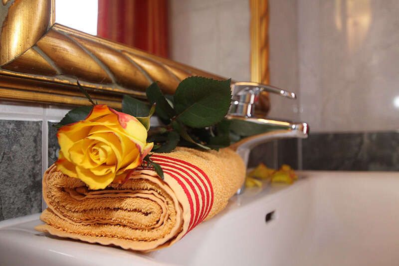 Apartment in the Hotel Humlerhof in the Wipptal Tyrol