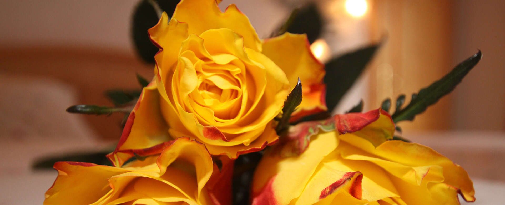 Roses